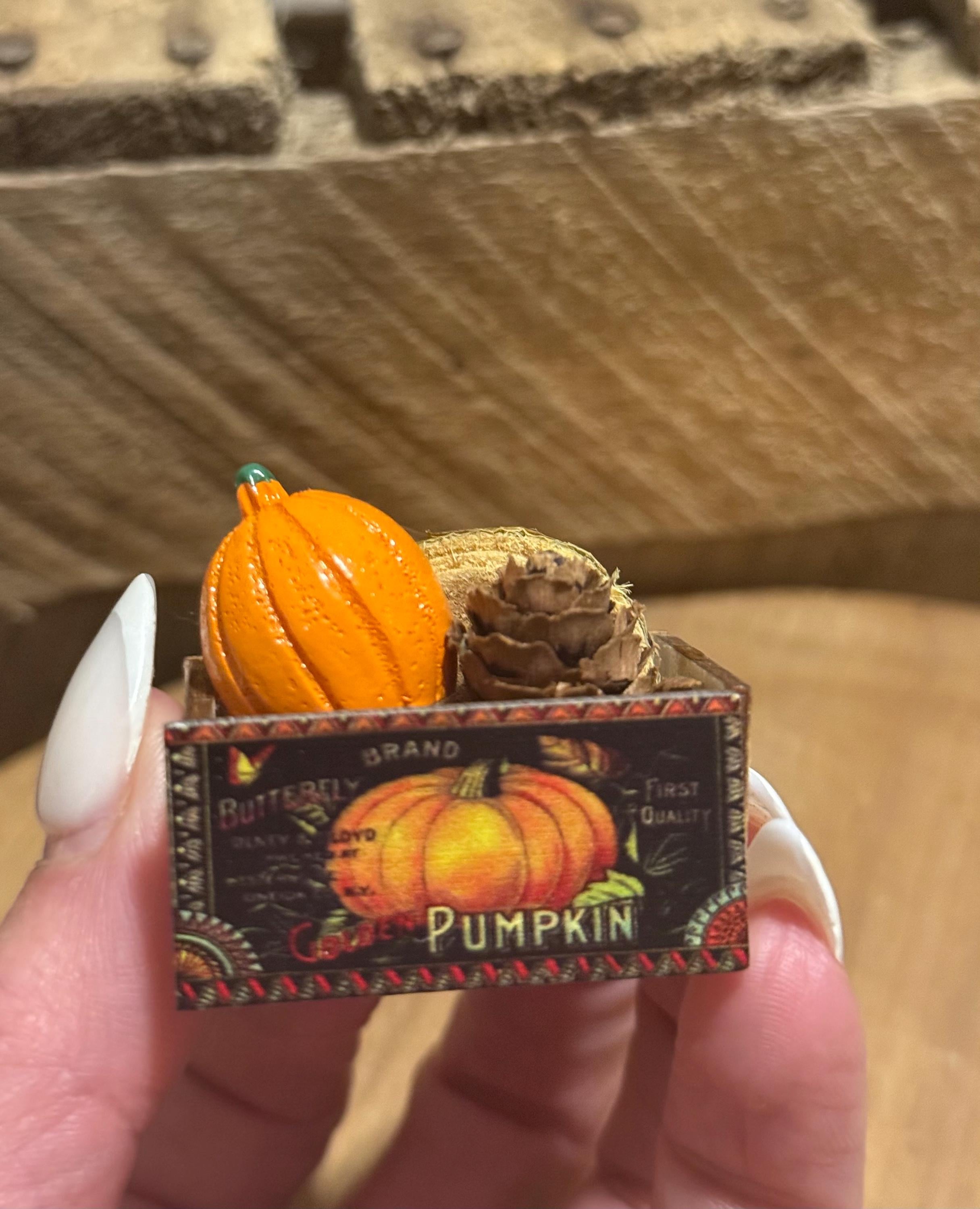 miniature pumpkin crate with pumpkin