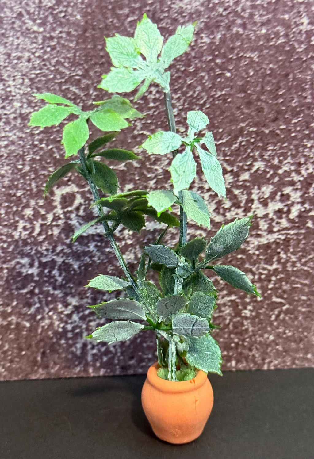Miniature green plant in clay pot