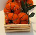 miniature pumpkins in wood crate-1 1/2”