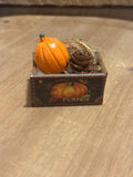 miniature pumpkin crate with pumpkin