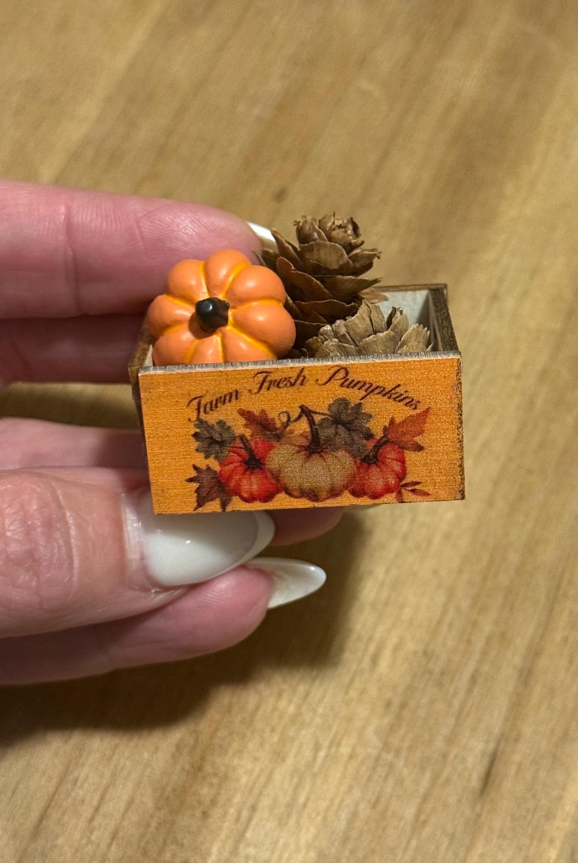 miniature pumpkin crate with pumpkin