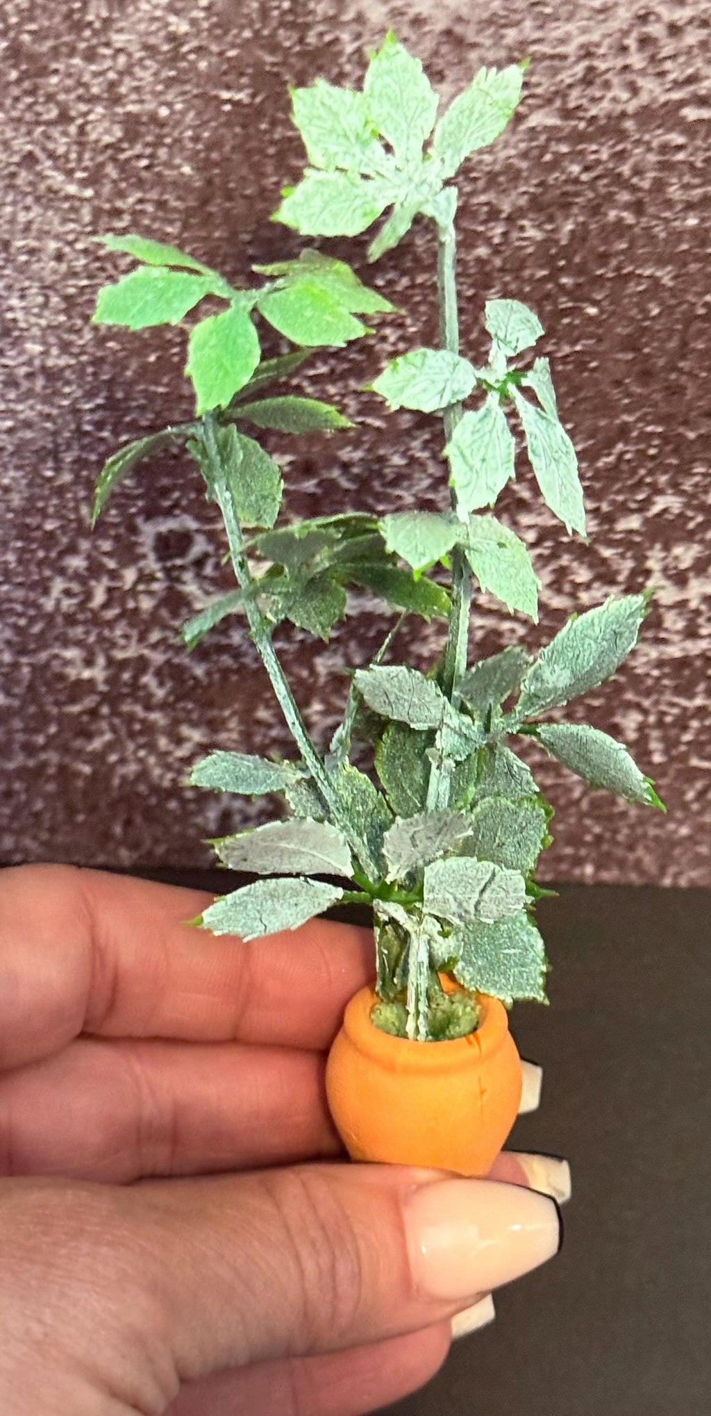 Miniature green plant in clay pot