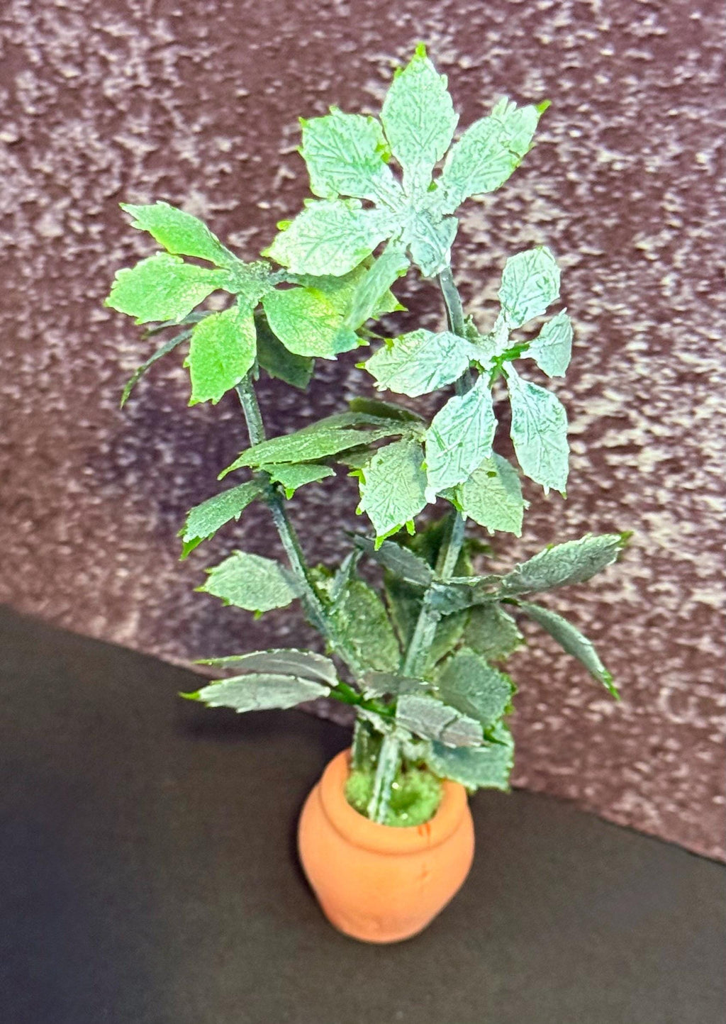 Miniature green plant in clay pot