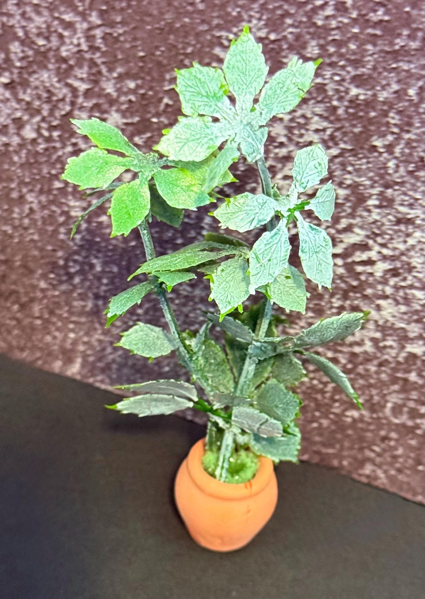 Miniature green plant in clay pot