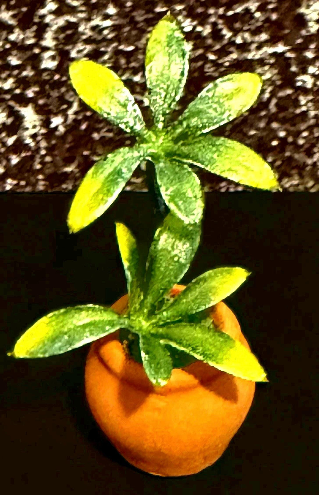 Miniature dollhouse  plant in terracotta pot-1:12 scale