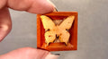 Miniature Butterfly Framed art