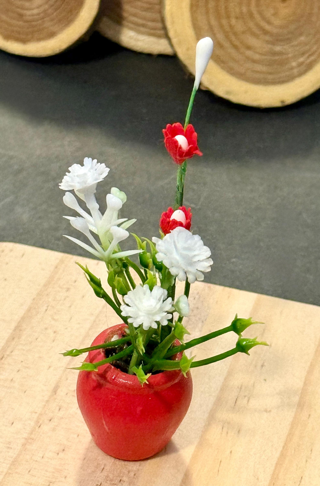 Miniature plant with Flower in terracotta pot