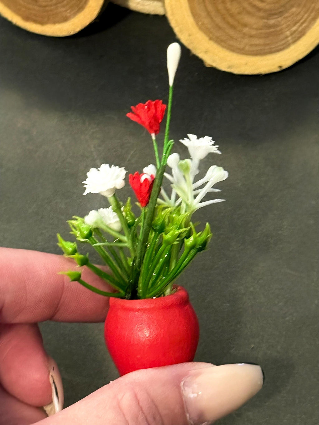 Miniature plant with Flower in terracotta pot
