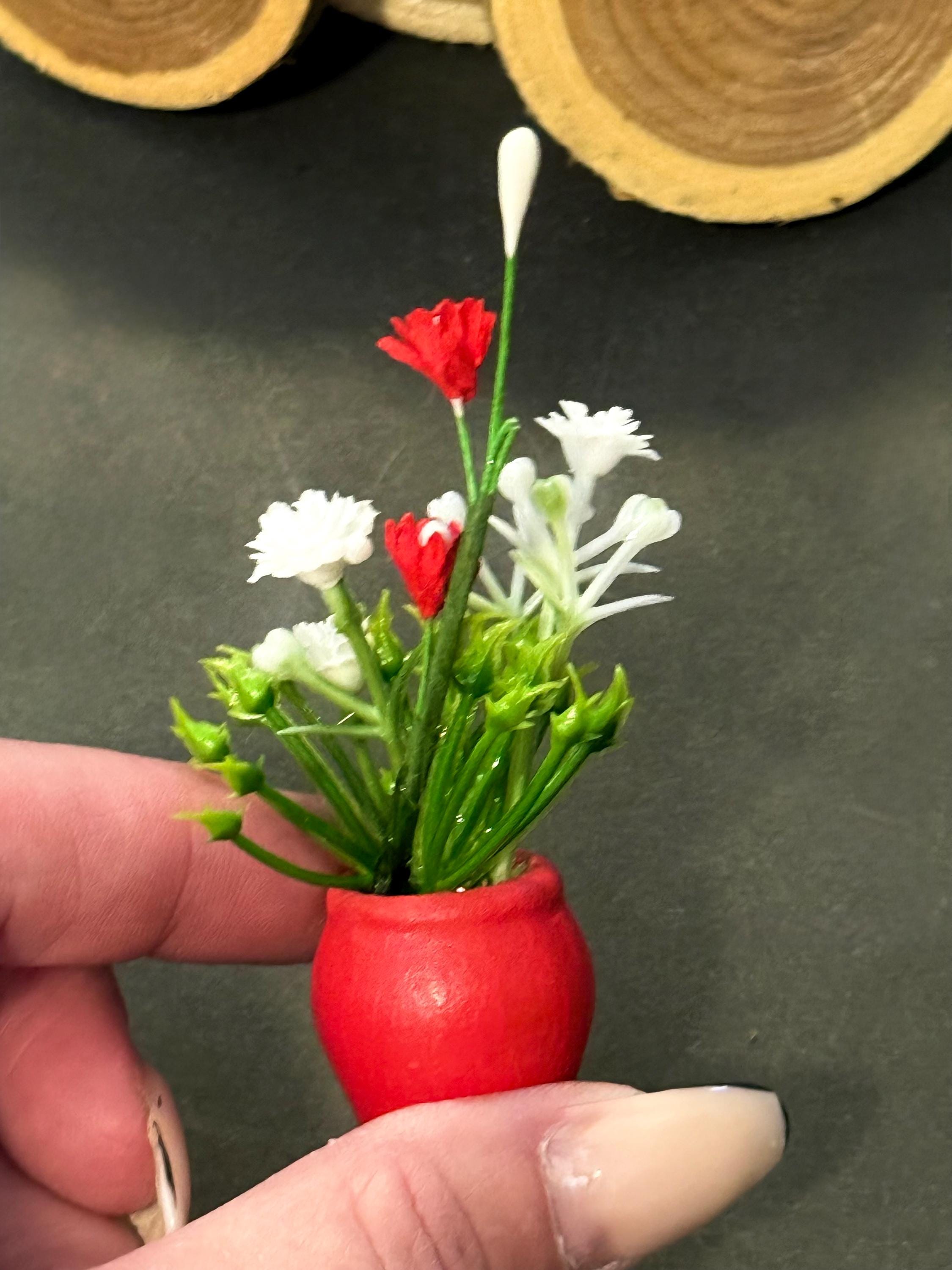 Miniature plant with Flower in terracotta pot