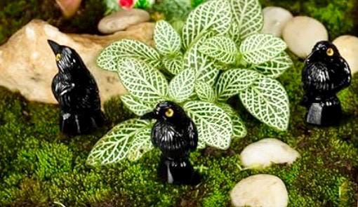 miniature black crows-set of 5