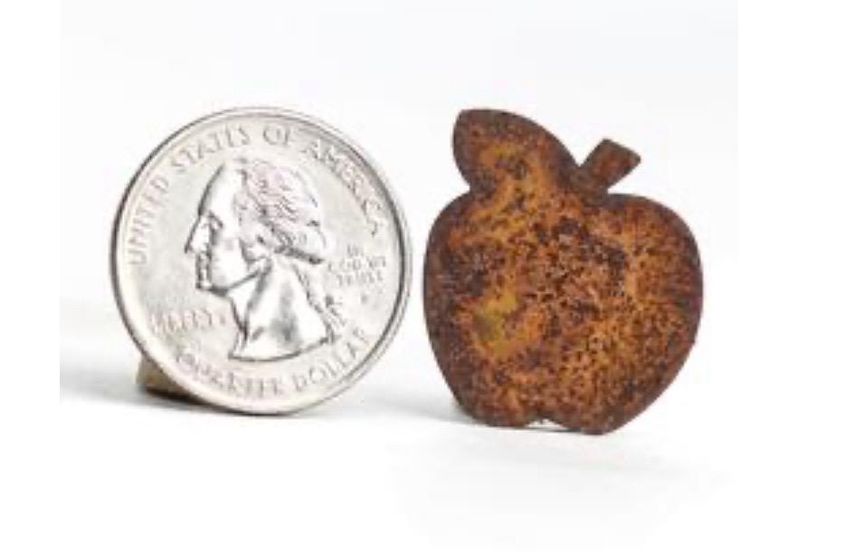 Mini Rustic Apple Cutouts-3/4” set of 2