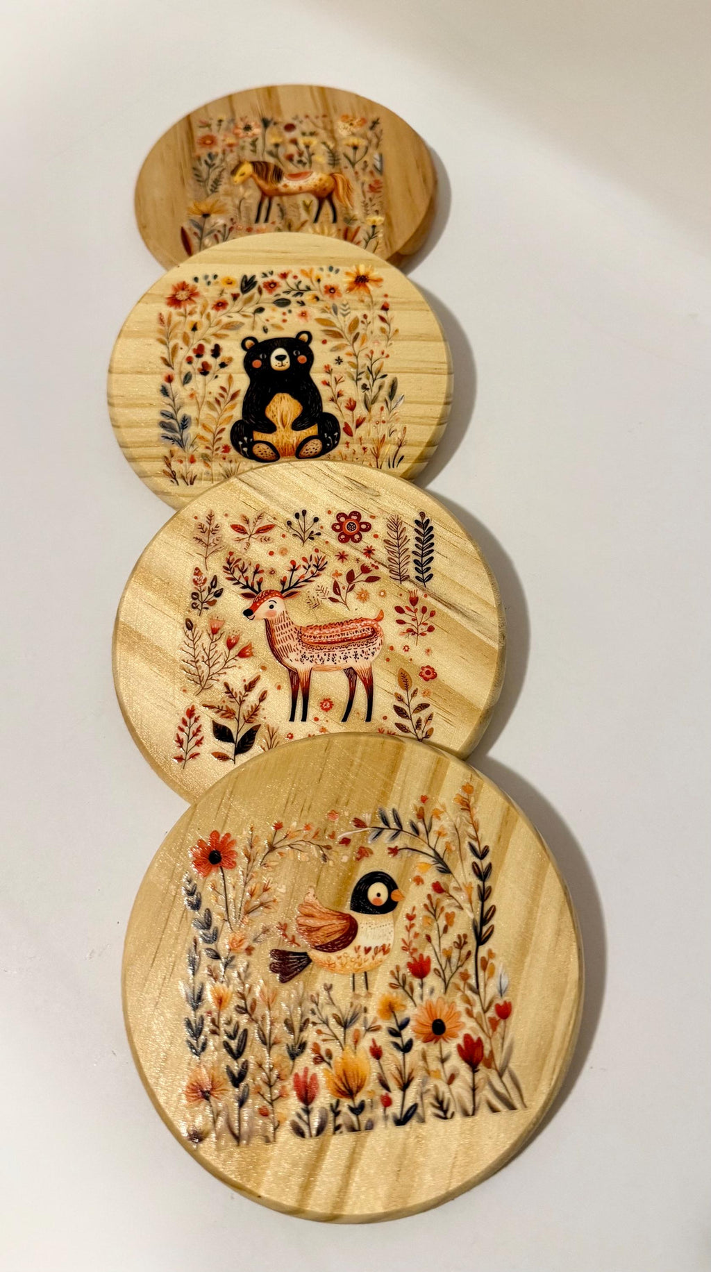Coaster set of 4-Animals