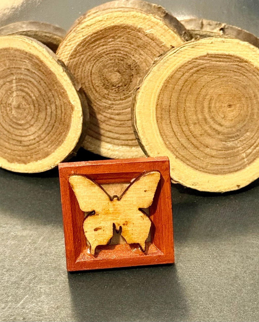 Miniature Butterfly Framed art