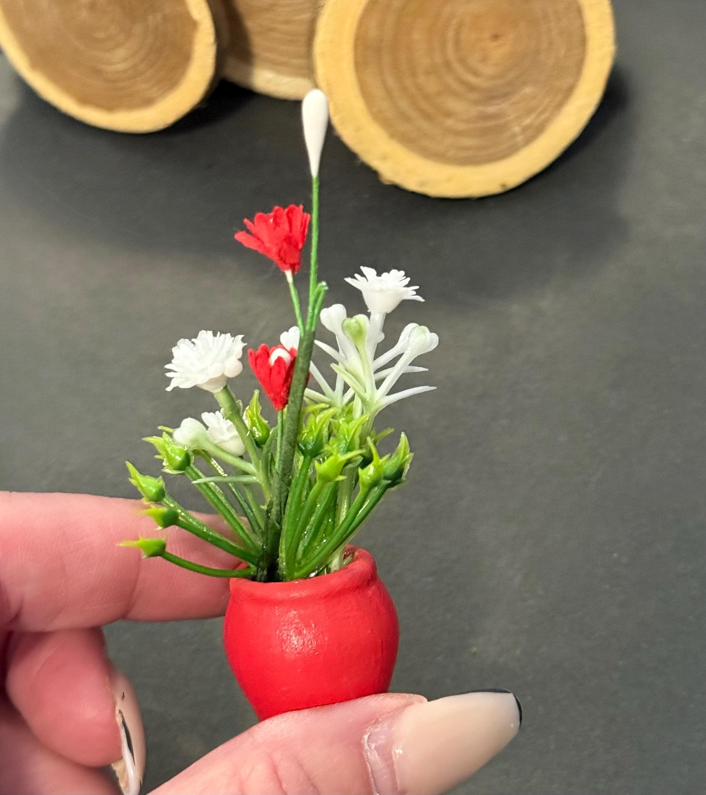 Miniature plant with Flower in terracotta pot