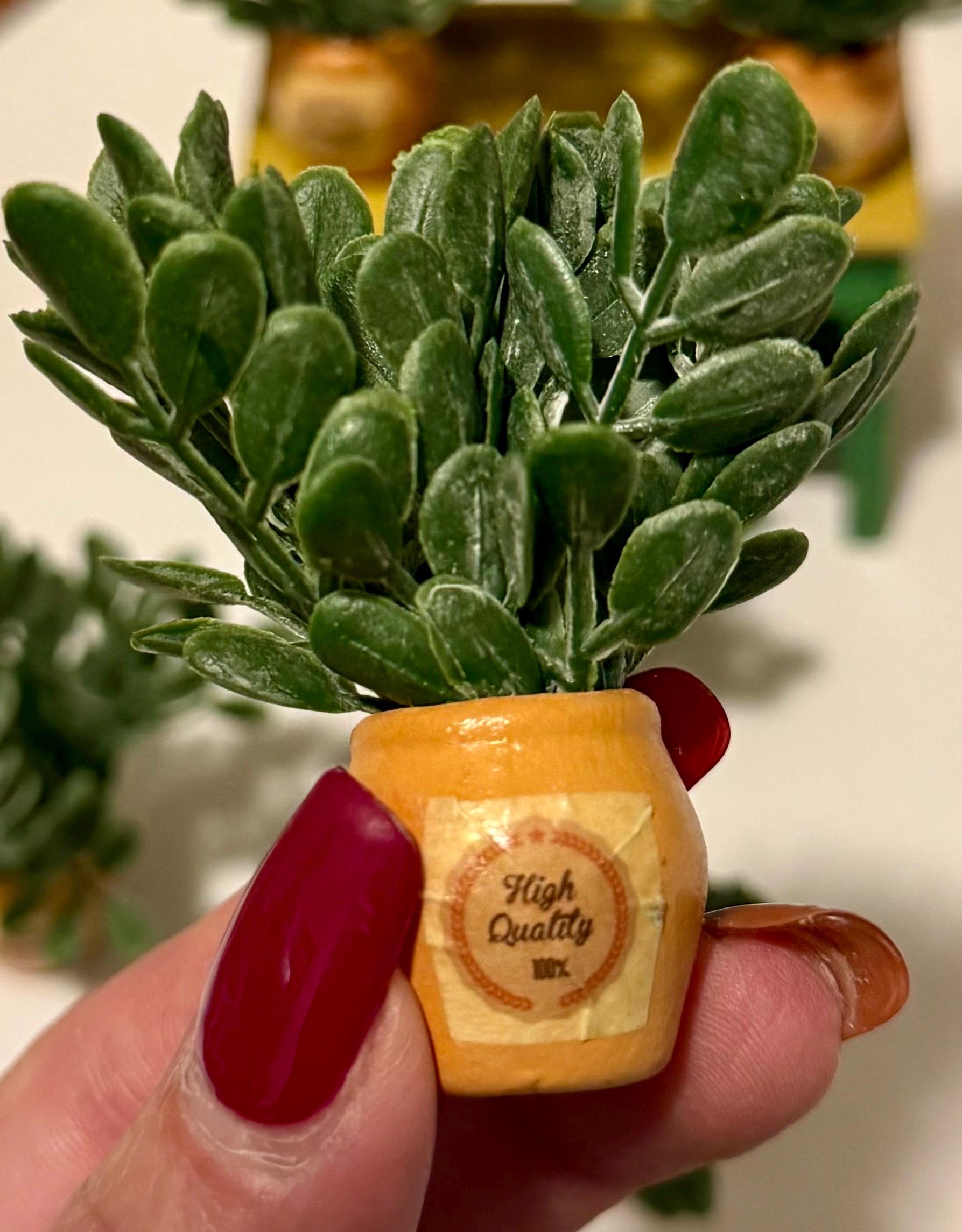 Miniature ceramic clay potted plants with a vintage design
