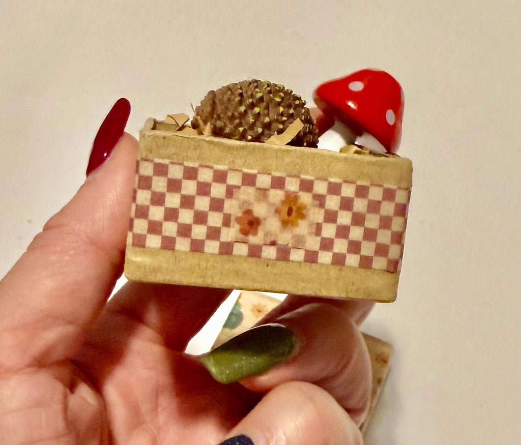 miniature cactus designed paper mache gift box with hedgehog