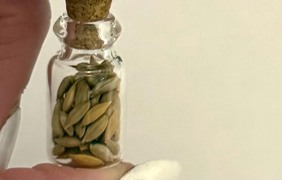 Miniature dollhouse glass jar filled kitchen Spice collection : 4 in set