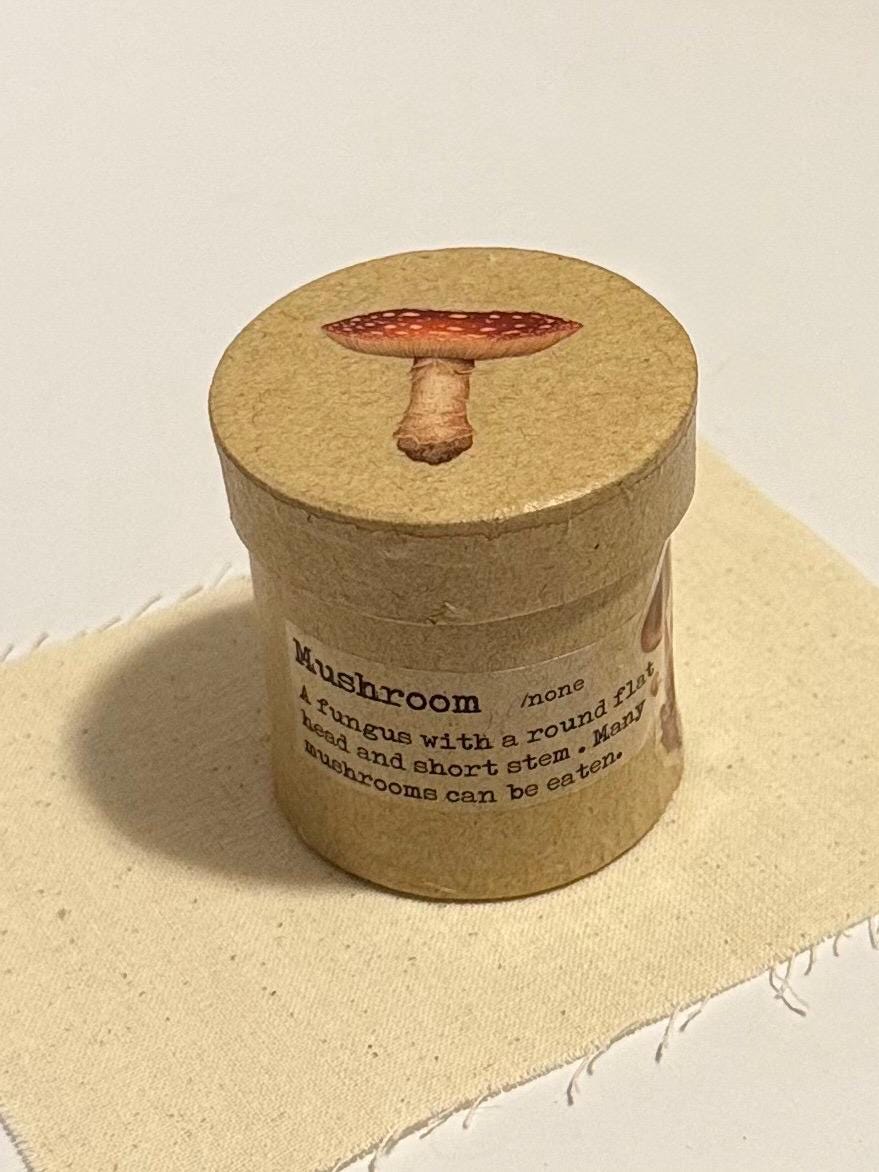 Miniature Mushroom Theme Paper Mache Gift Box with Gnome and mini bird