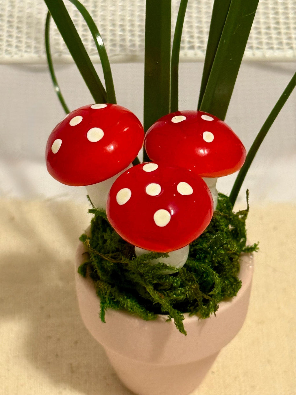 Miniature mushrooms in clay pot