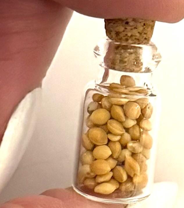 Miniature dollhouse glass jar filled kitchen Spice collection : 4 in set