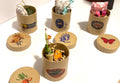 Miniature Travel and Stay Themed Gift Boxes with minis