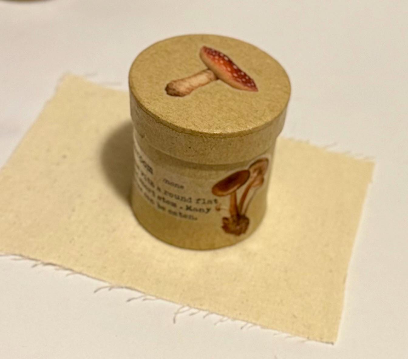 Miniature Mushroom Theme Paper Mache Gift Box with Gnome and mini bird