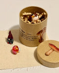Miniature Mushroom Theme Paper Mache Gift Box with Gnome and mini bird