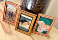Decorative art framed cat fridge magnets