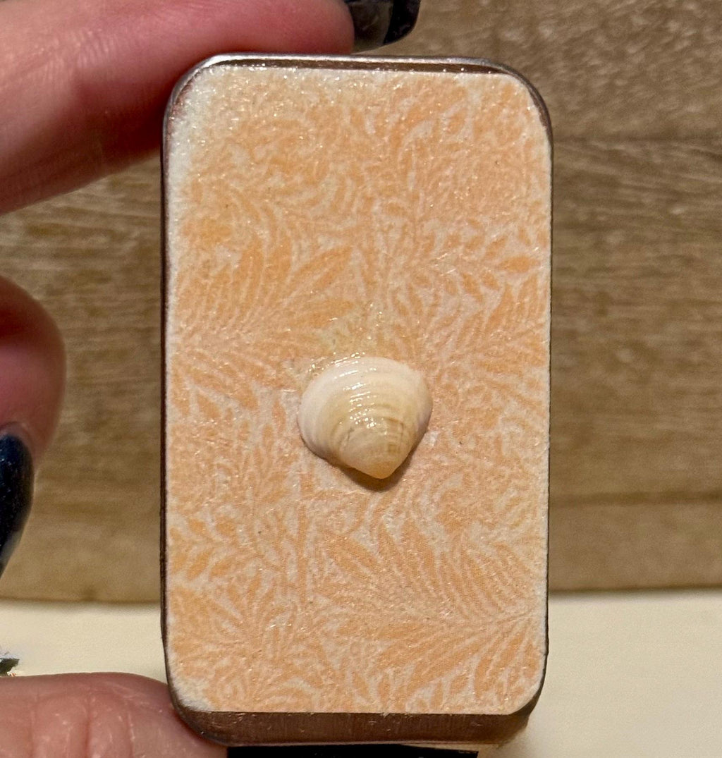Metal treasure mini sliding box filled with mini shells and a starfish