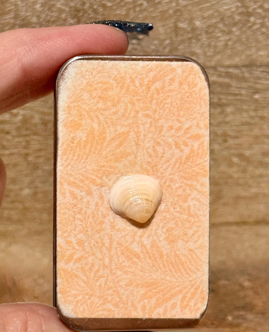 Metal treasure mini sliding box filled with mini shells and a starfish