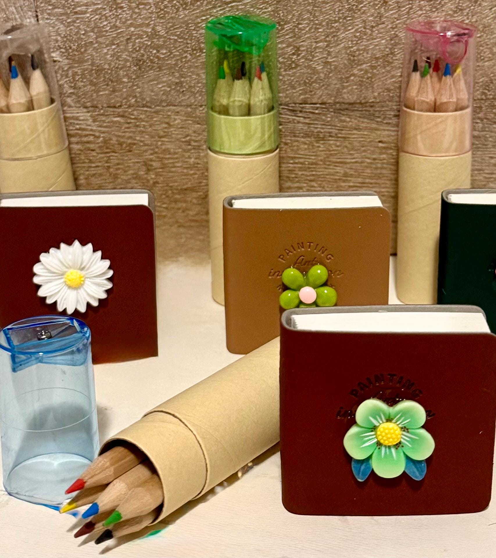 Miniature notebook and colored pencils set for writing/drawing