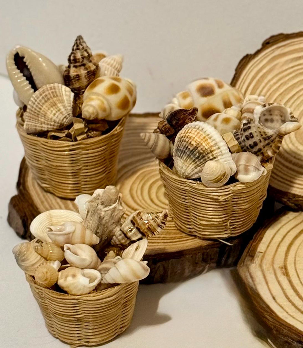 Miniature Beachy Seashells in basket