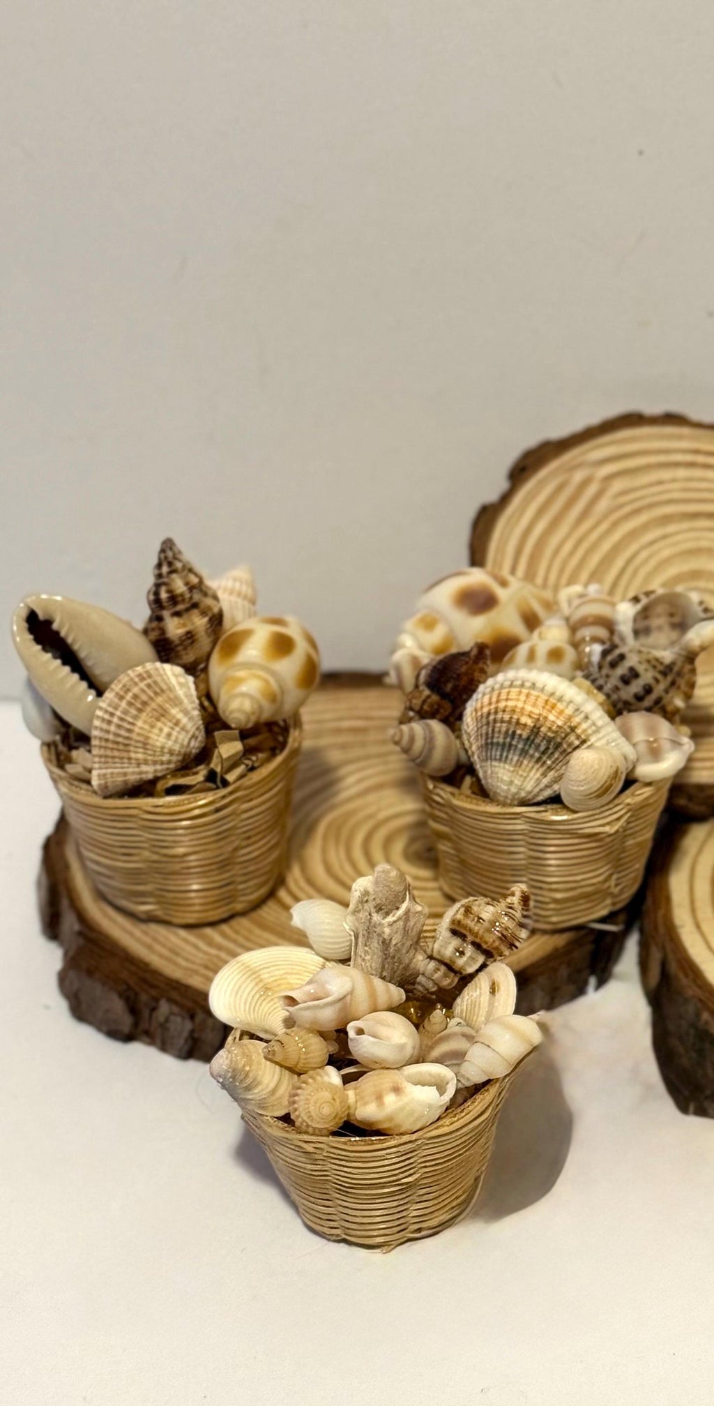 Miniature Beachy Seashells in basket