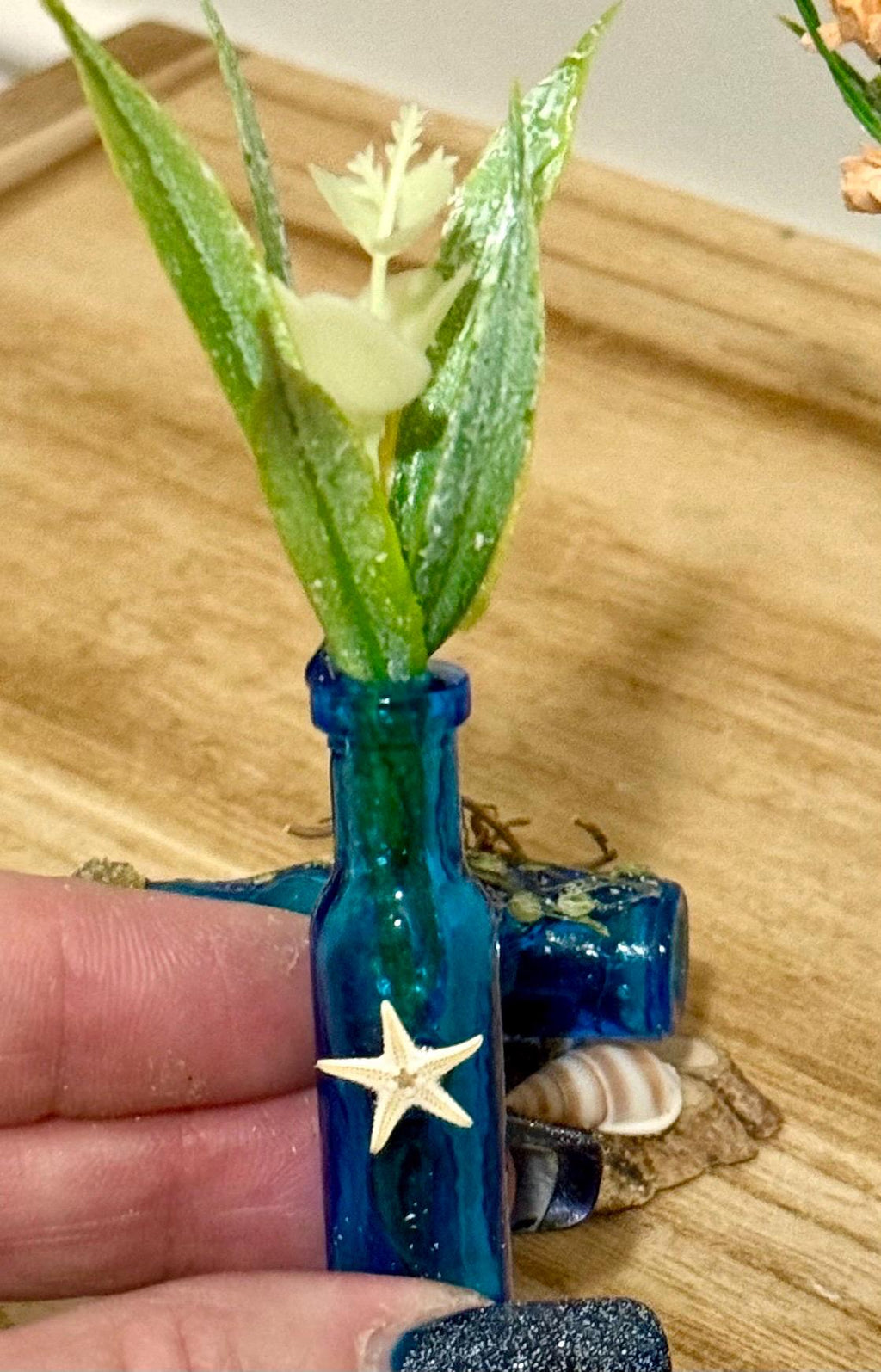 Miniature blue beachy themed glass bottles with plant-3 piece set