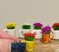 Miniature ceramic coffee mugs with plants