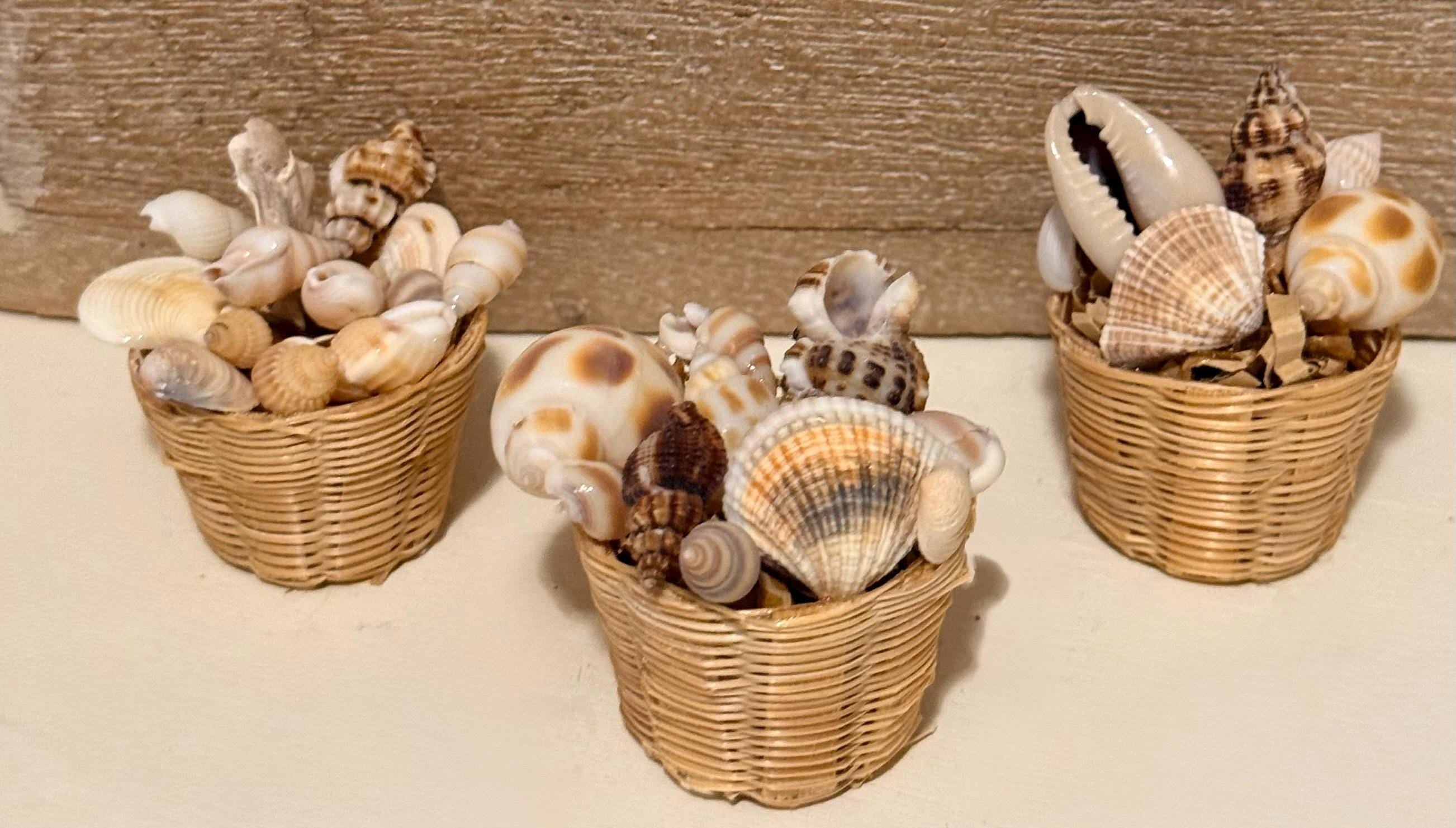 Miniature Beachy Seashells in basket
