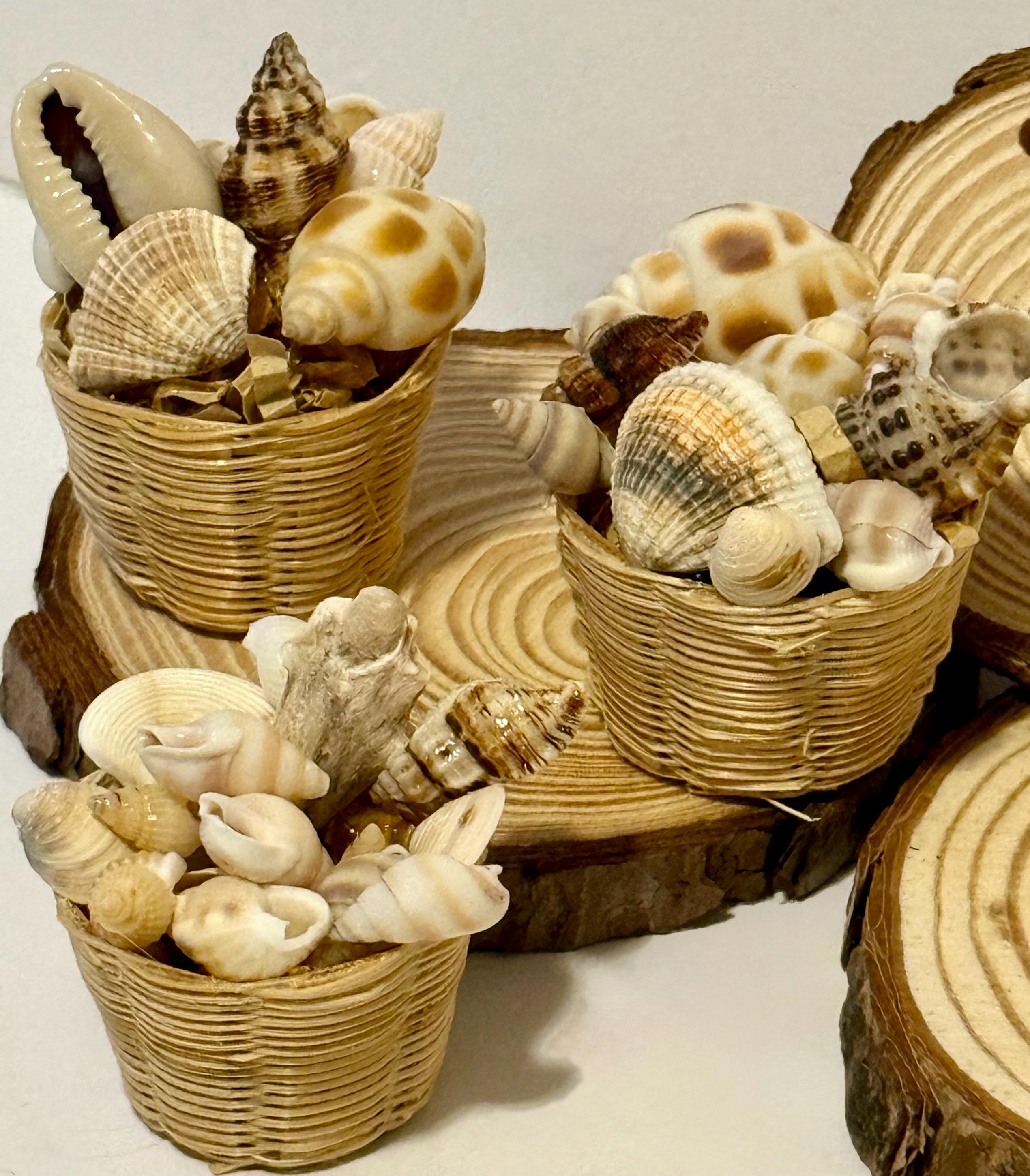 Miniature Beachy Seashells in basket
