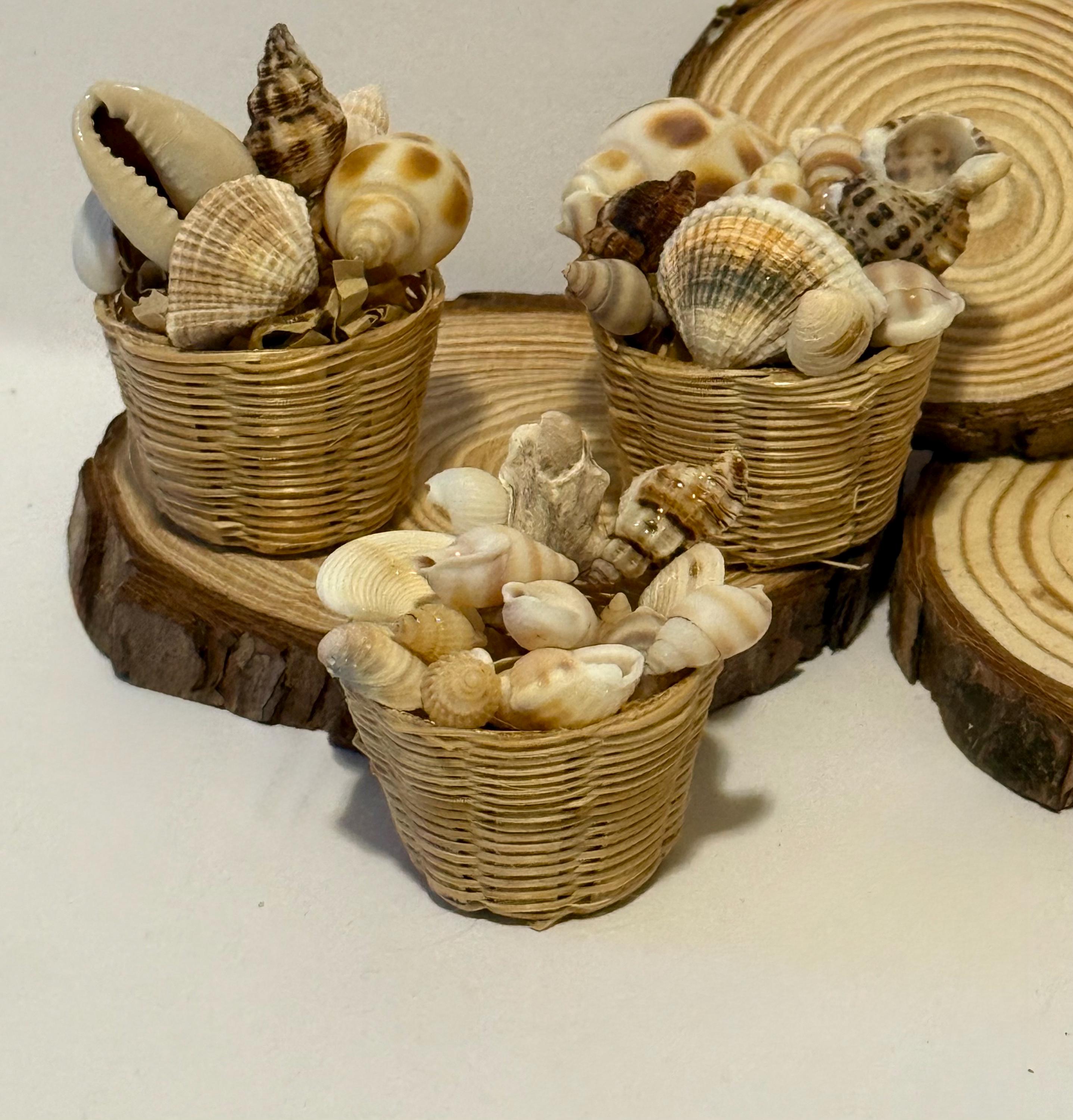 Miniature Beachy Seashells in basket