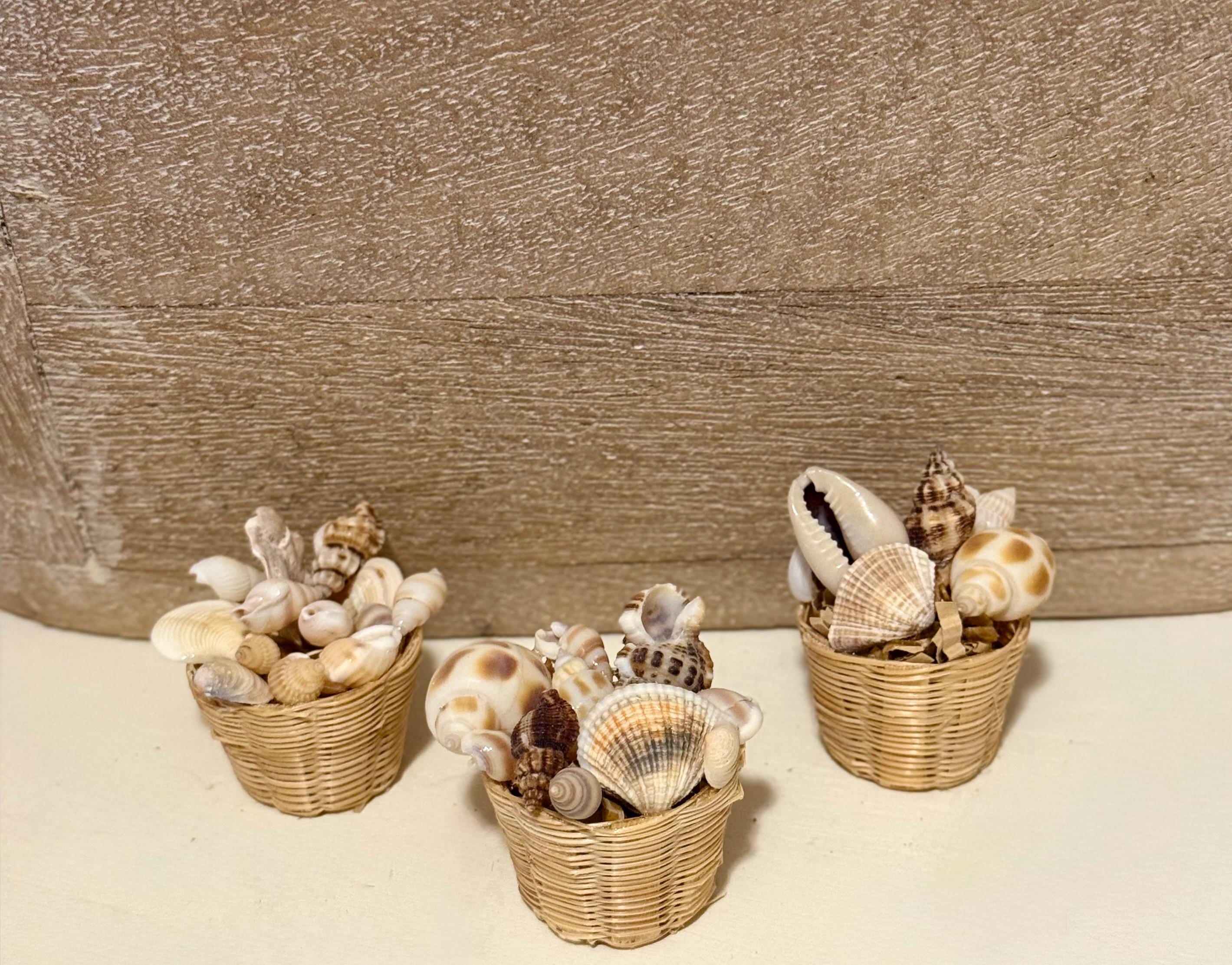 Miniature Beachy Seashells in basket