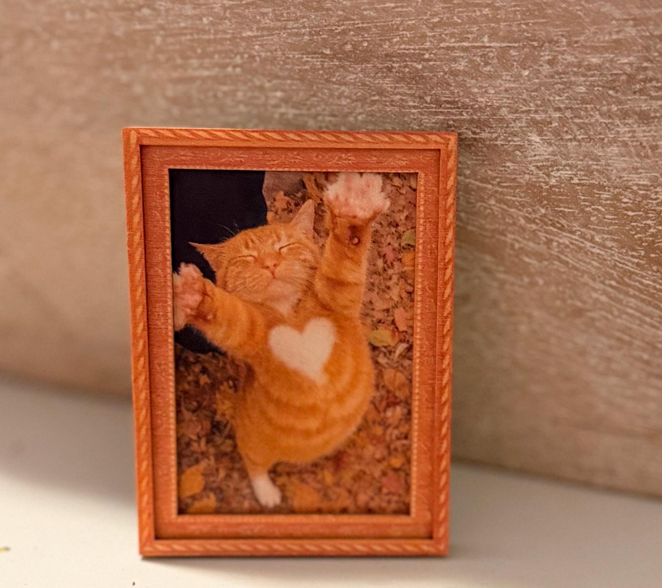 Decorative cat art- lovable kitty with heart shape in fur magnet