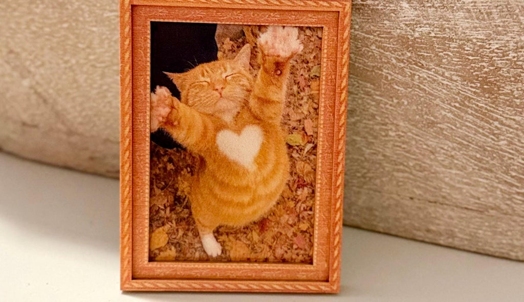 Decorative cat art- lovable kitty with heart shape in fur magnet