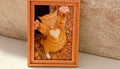 Decorative cat art- lovable kitty with heart shape in fur magnet