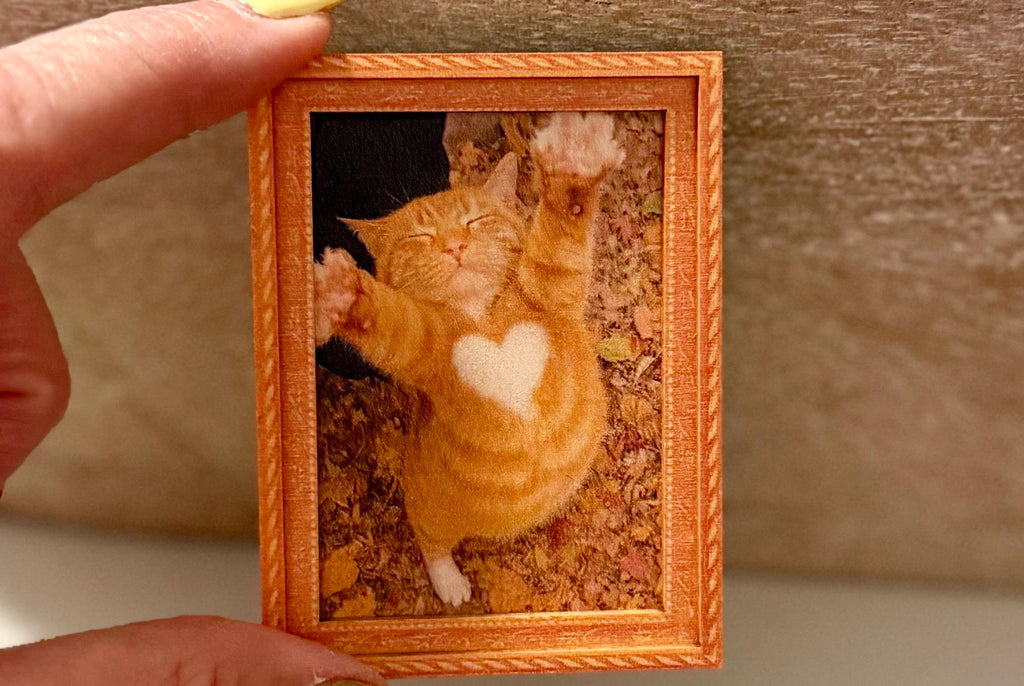 Decorative cat art- lovable kitty with heart shape in fur magnet