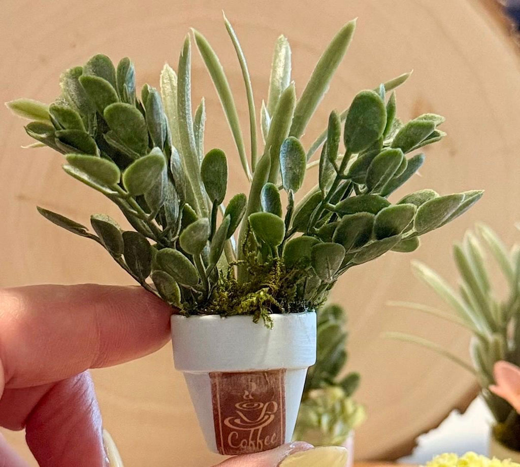 Miniature Flower pots -Coffee shop theme