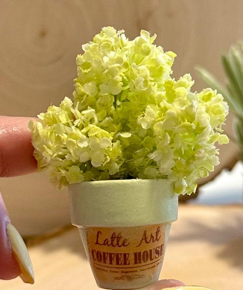Miniature Flower pots -Coffee shop theme