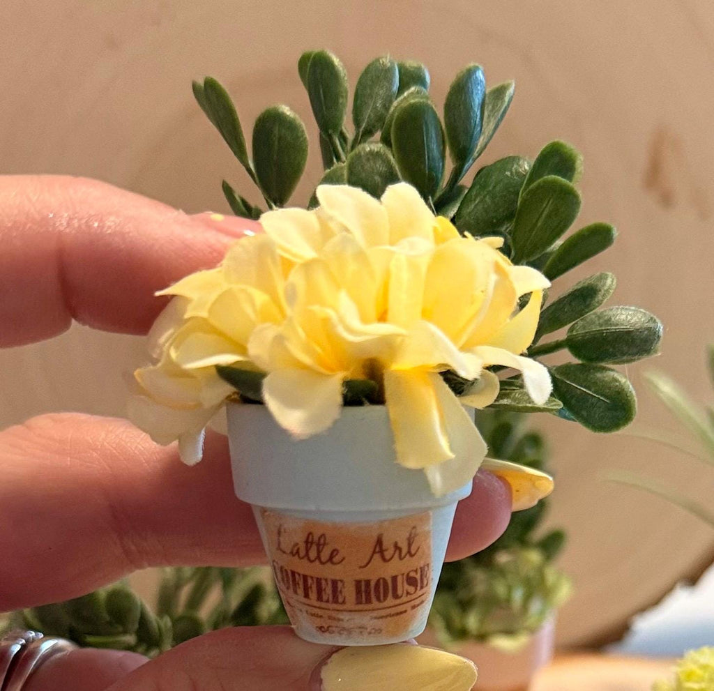 Miniature Flower pots -Coffee shop theme