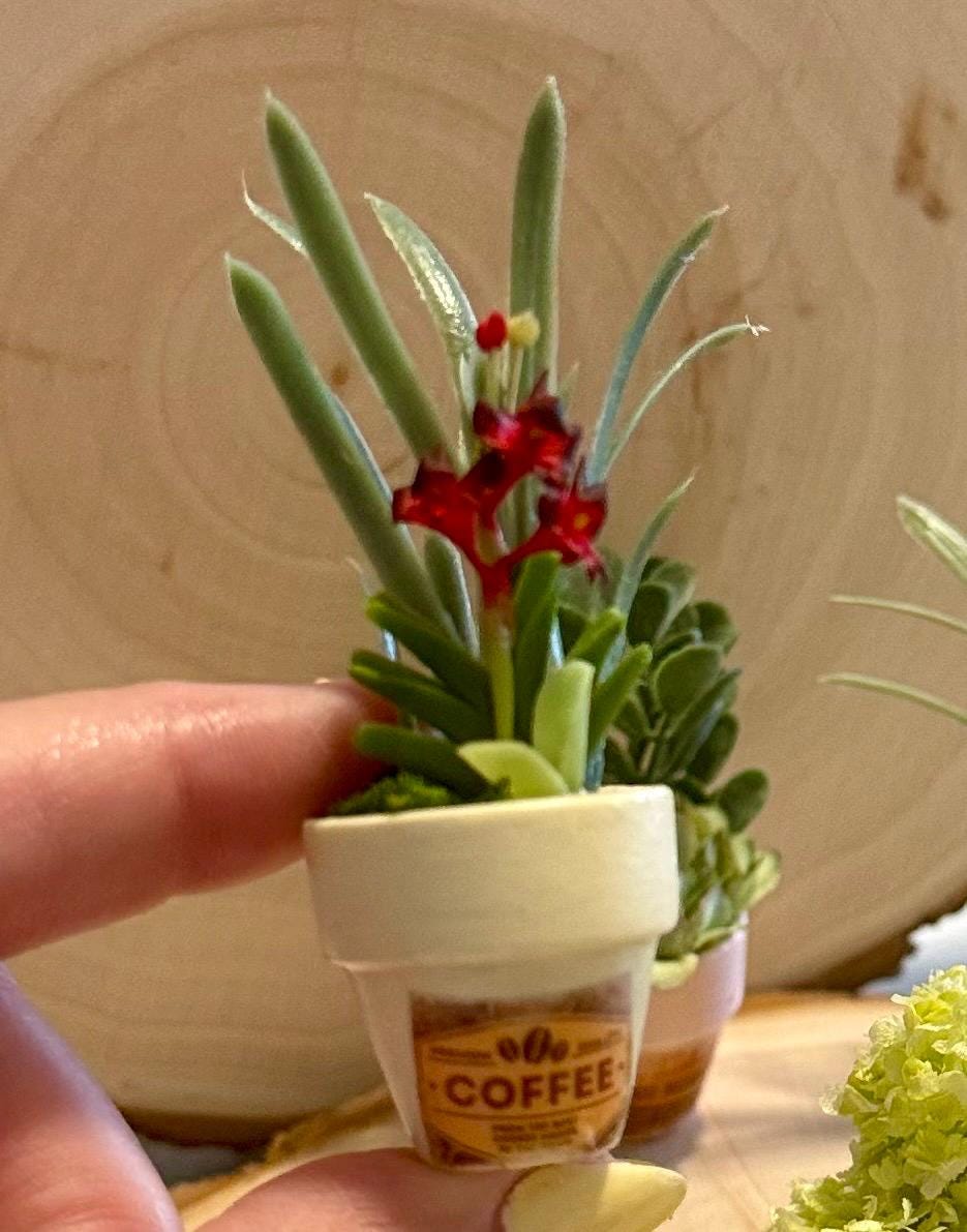 Miniature Flower pots -Coffee shop theme