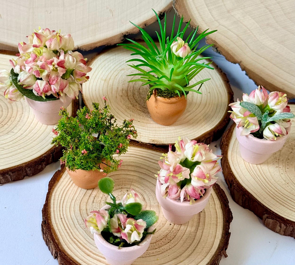 Miniature Flower Plant pots