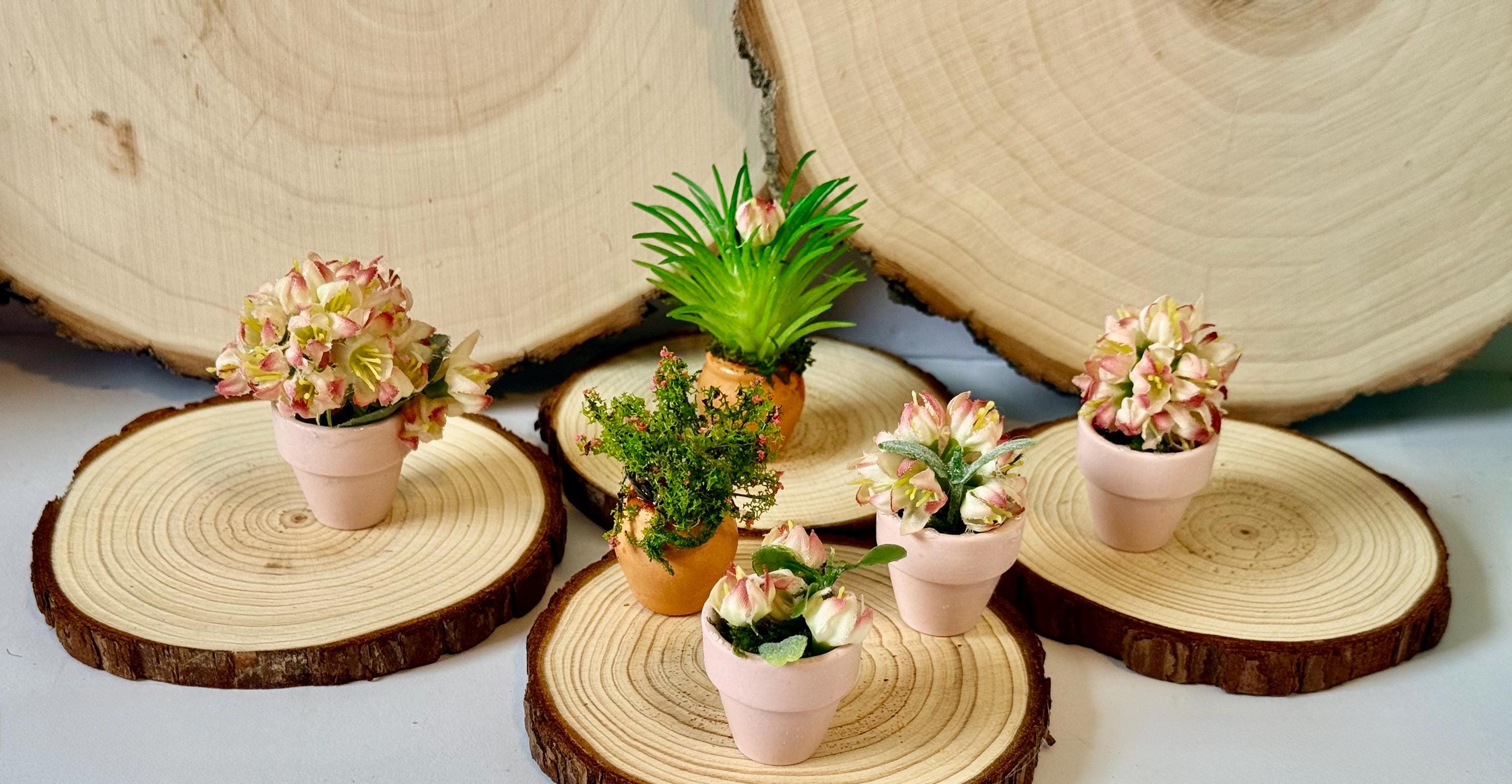 Miniature Flower Plant pots