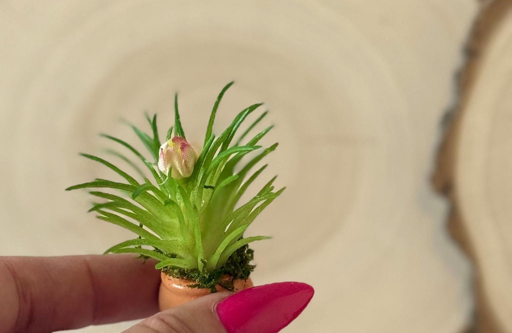 Miniature Flower Plant pots